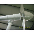Portable Wind-Turbine-Generator 220V